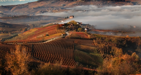 Dogliani_langhe_monregalesi_terra_di_delizie